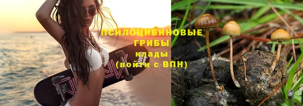 дживик Бугульма