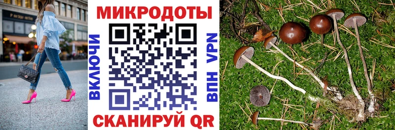 Псилоцибиновые грибы Magic Shrooms Воскресенск