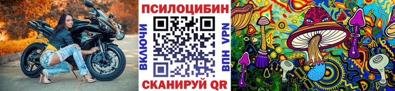 Купить  Воскресенск  Галлюциногенные грибы Magic Shrooms 
